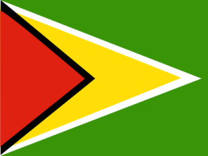 Bandera de Guyana